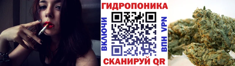 Codein Вышний Волочёк