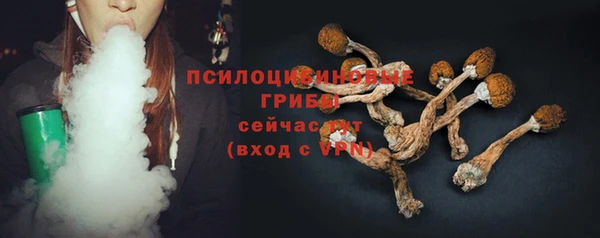 мескалин Пролетарск