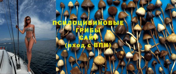 кокс Приозерск
