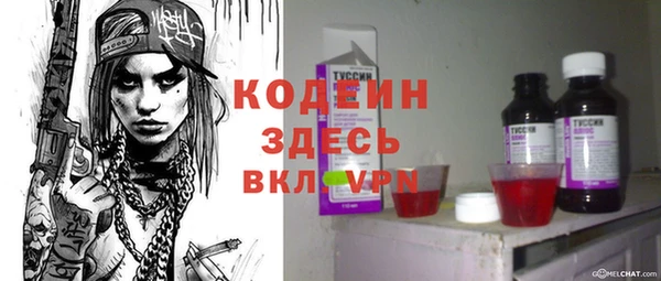 гашик Алзамай